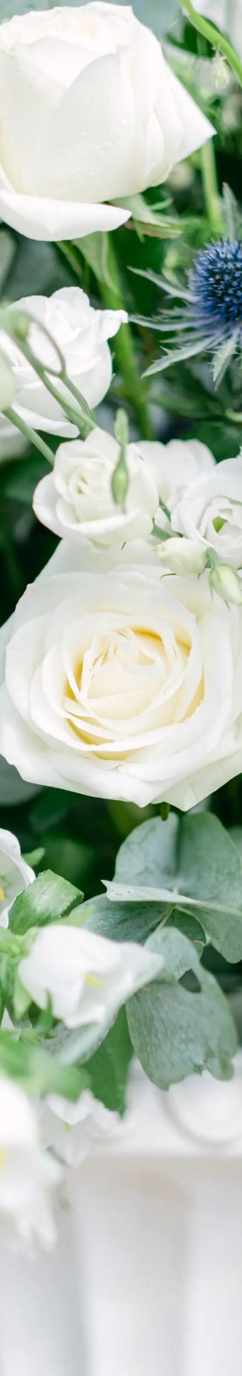 Wedding Flowers 